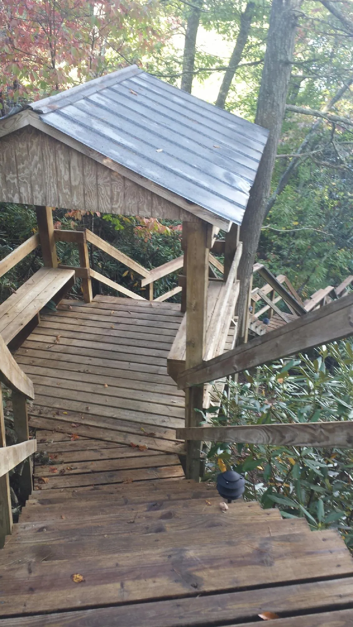 Metal roofed shelter over wooden steps on a wooded walkway — Skylight Repair & Installation work by our crew in Wrens